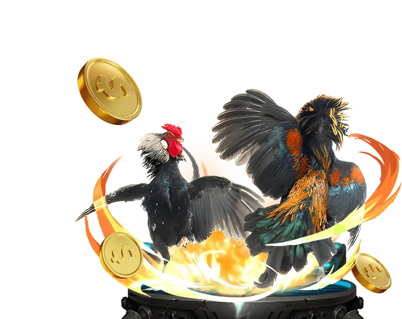 Tổng quan tài nguyên bong vip 79